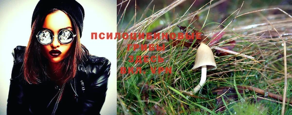 MESCALINE Белокуриха