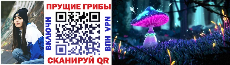 сколько стоит  Калуга  Псилоцибиновые грибы GOLDEN TEACHER 